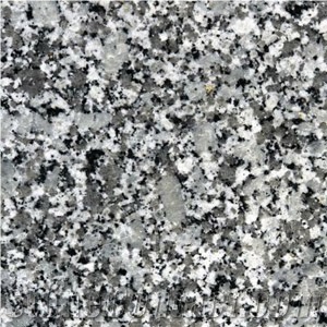 Bala Flower Granite Tile, China White Granite