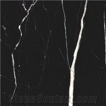 Nero Margiua Marble Tile, China Black Marble