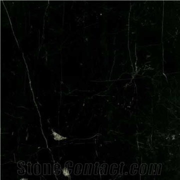 Black Butterfly Marble Tiles