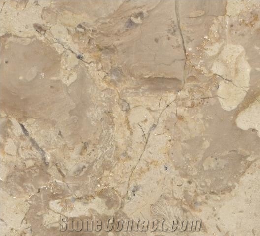 Breccia Sinai Limestone Tile