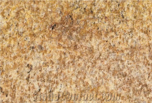 Olimpia Gold Granite Slabs & Tiles