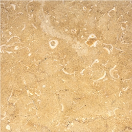 Halil Fossil Limestone, Halila Limestone Slab & Tile