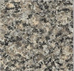 Caledonia Granite Slabs & Tiles, Canada Brown Granite