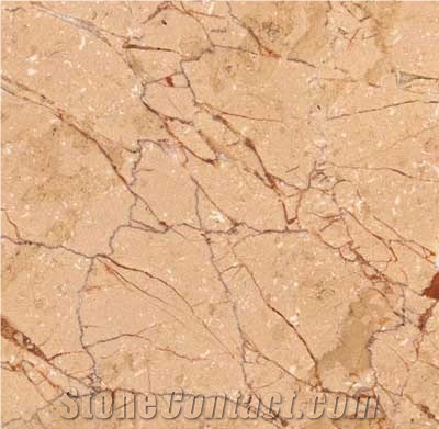 Lotus Rosalia Marble Tile