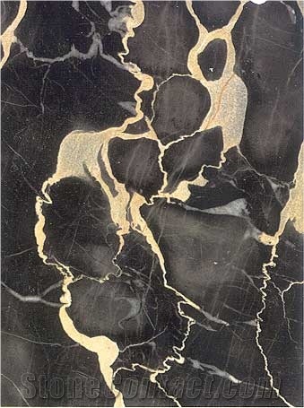 Nero Portoro Marble Slabs & Tiles, Italy Black Marble