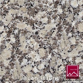 Tuoli Snowflake Granite Slabs & Tiles, China Grey Granite