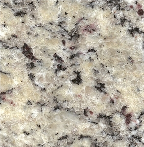 Branco Samoa Granite -Branco Arabesco Granite, Brazil Yellow Granite