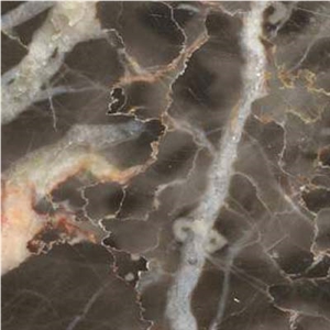 Mystique Brown Marble Slabs & Tiles, China Brown Marble