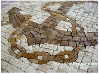 Anchor Medallion Mosaic Travertine