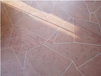 Fossil Sandstone