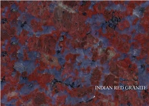 Red Granite Sell Slabs & Tiles, Indian Red Granite Slabs & Tiles
