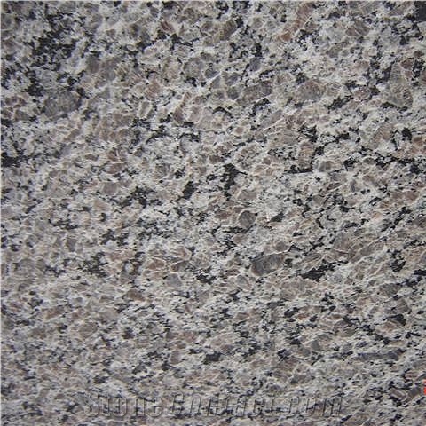 New Caledonia Granite Slabs & Tiles, Brazil Brown Granite