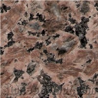 China Brown Granite from Yasta Stone