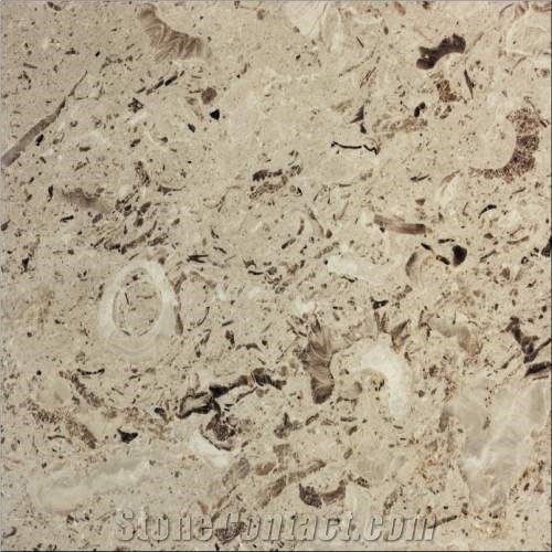 Aurisina Fiorita Limestone Slabs & Tiles, Italy Beige Limestone