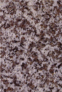 Gris Nevada Granite Slab & Tile