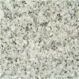 Ice Green Granite Slabs & Tiles