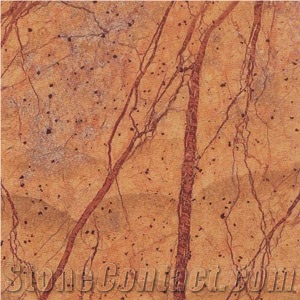 Rain Forest Brown Marble Tiles