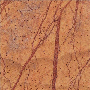 Rain Forest Brown Marble Tiles