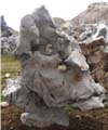 Natural Garden Stone