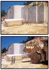 Thassos Snow White Marble
