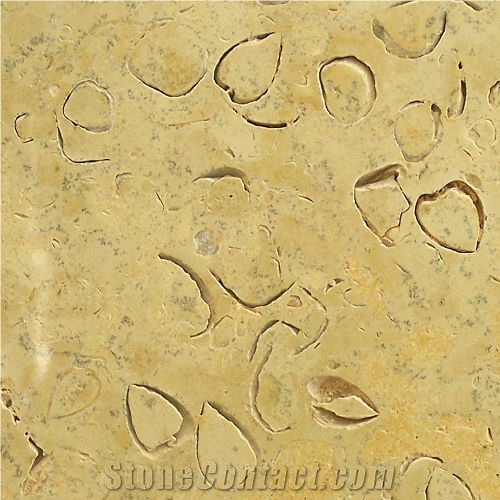 Sell Vratza Shellstone, Shellstone Bulgaria Limestone Tiles