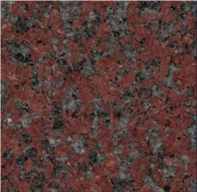 South Africa Red Granite Slabs & Tiles