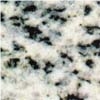 White Safaga Granite Slabs & Tiles, Egypt Grey Granite