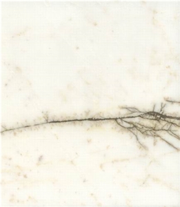 Spider-Golden Spider Marble