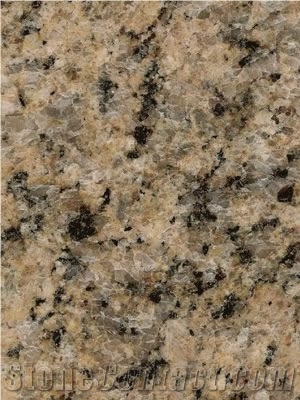 Amarillo Ecoporanga Granite Slabs & Tiles