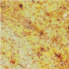 Kashmir Gold Granite Slabs & Tiles, India Yellow Granite