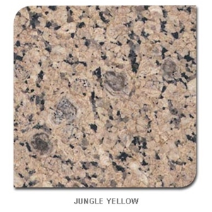 Jungle Yellow Granite Slabs & Tiles, Egypt Yellow Granite