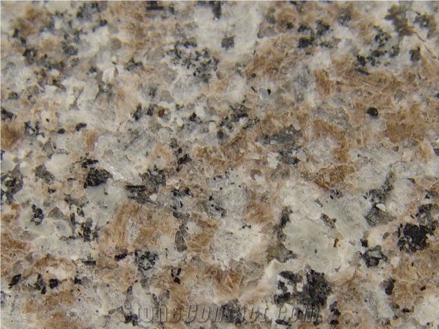 Bandrook Brown-G664 Chinese Granite