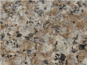 Bandrook Brown-G664 Chinese Granite