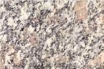 Vahlovice Granite Slabs & Tiles, Czech Republic Grey Granite