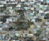 the Compact Shellfish Mosaic