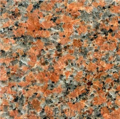 Maple Red Granite,G562 Granite Slabs & Tiles