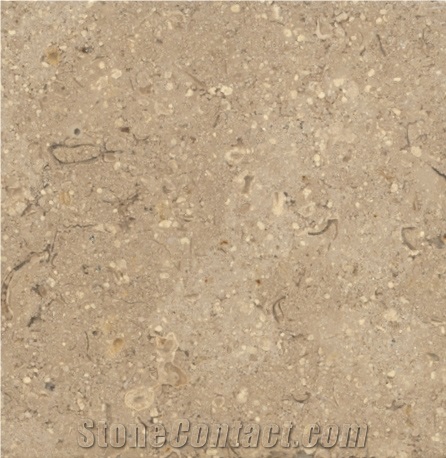 Sinai Pearl Limestone Slabs & Tiles, Egypt Beige Limestone