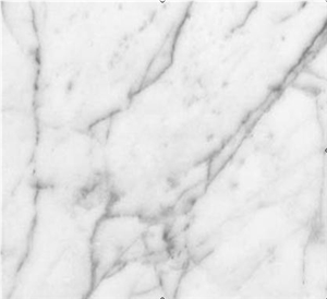 Bianco Carrara Marble Polished