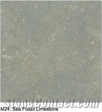 Sea Fossil Limestone Slabs & Tiles