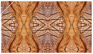 Bidasar Brown Marble Slabs & Tiles