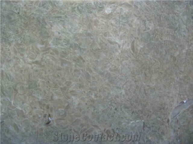 Atlas Pearl Limestone Slabs & Tiles, Tunisia Grey Limestone