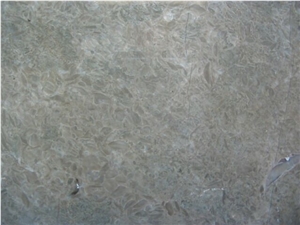 Atlas Pearl Limestone Slabs & Tiles, Tunisia Grey Limestone