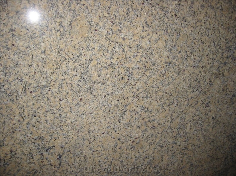 Giallo Parthenon Granite Slabs