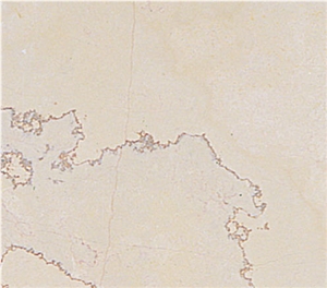 Regal Burgundy Marble Slabs & Tiles