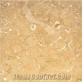 Qabattia Limestone Slabs & Tiles, Palestine Beige Limestone