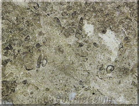 Jordan Grey Limestone Slabs & Tiles