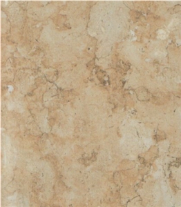 Shelly Limestone Slabs & Tiles, Israel Beige Limestone