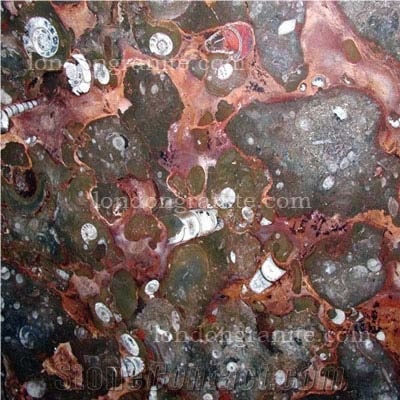 Marron Fossil Limestone Tile