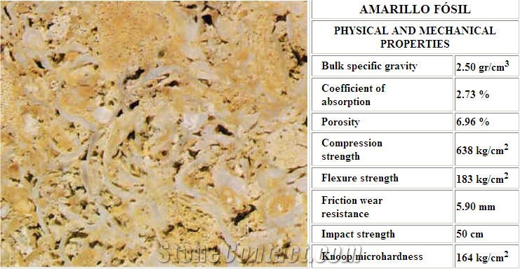 Amarillo Fosil Limestone Slabs & Tiles