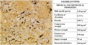 Amarillo Fosil Limestone Slabs & Tiles